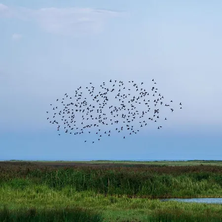 Hébergement de vacances 6 Person In Vinderup-by Traum
